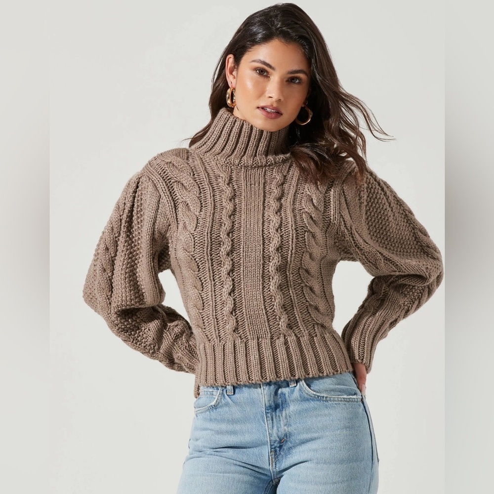 ASTR REVOLVE NWOT Taupe Brown Cable Knit Turtleneck Cropped Sweater, Size M